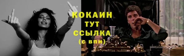 дживик Надым