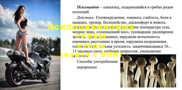 дживик Надым