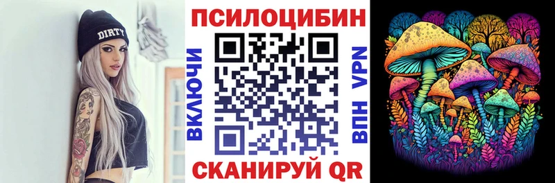 Псилоцибиновые грибы Psilocybe  Купить где  Владимир 